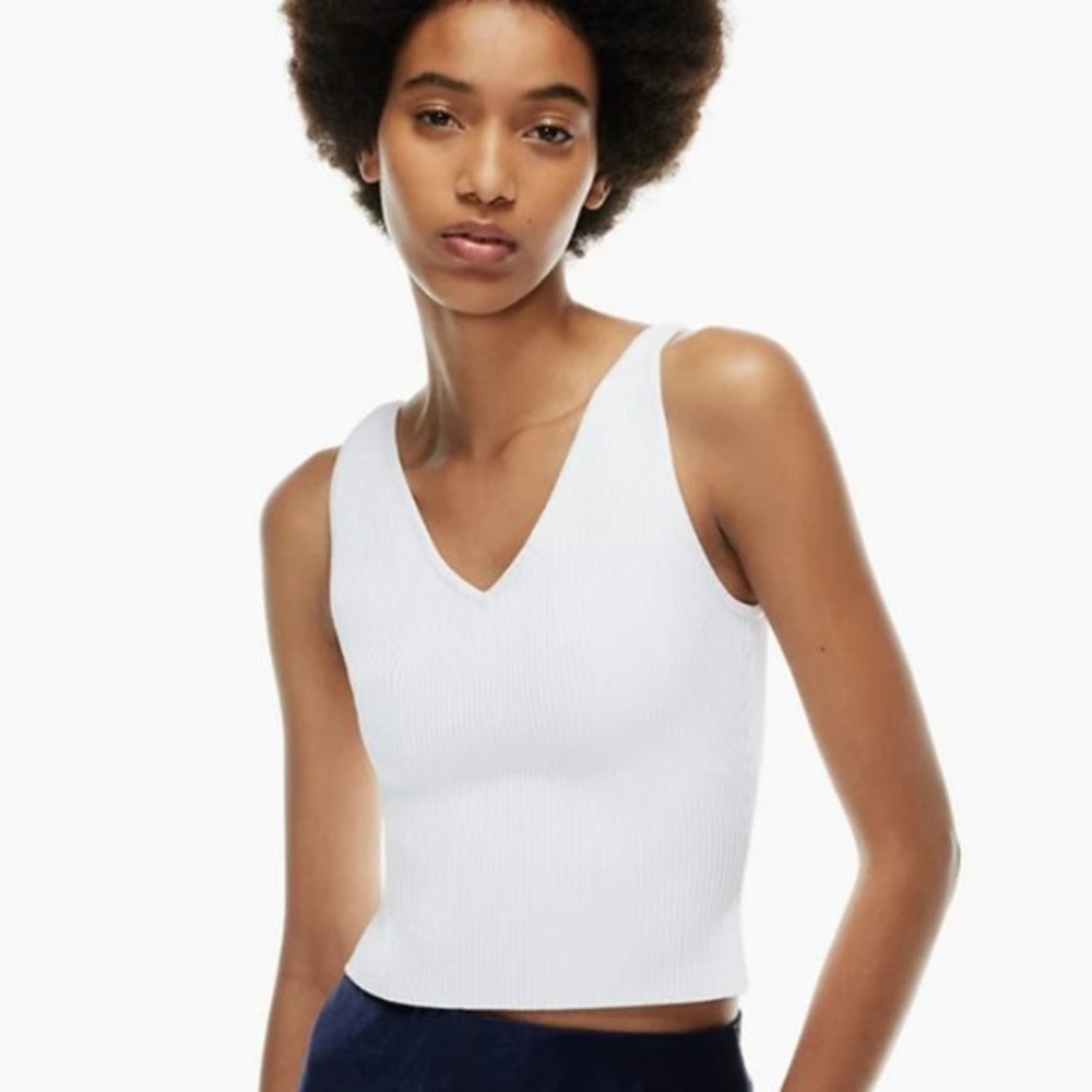 Aritzia Babaton Sculpt Knit V Neck tank